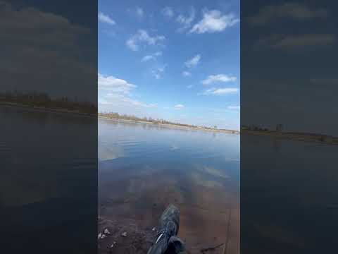 Десногорск 2024