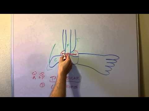 How to Grade Ankle Sprains