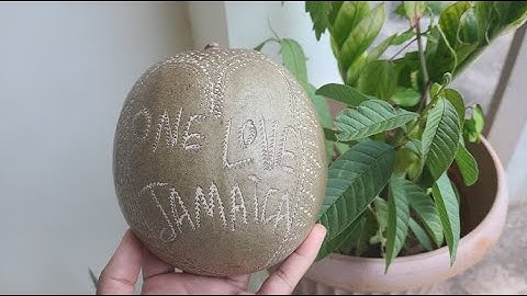 Making Jamaican Calabash Bowls 🇯🇲 #gourde  #packy #jamaica #tradition #calabash #taino #africa