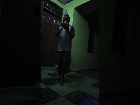 Suara emas tanjung halo