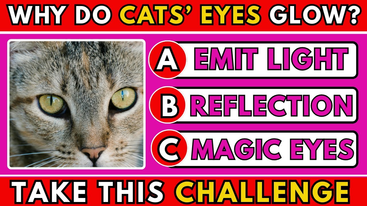 Everyday Science Quiz – 95% People Get These Daily Science Facts Wrong!