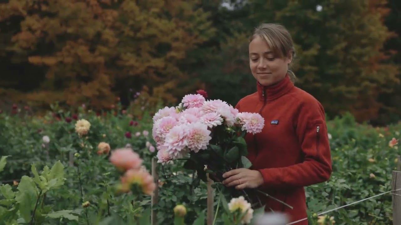 Heavenly Gardens  A Spiritual Travel Guide