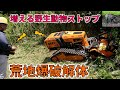 日本の広がる荒れ地を食い止める小さな巨人 かるぞ13（サーティーン）＆パワーグラスチョッパー