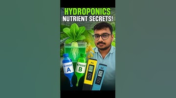 Hydroponics Nutrients Explained: A & B Solution, pH, EC & Secrets for High Yield #shorts