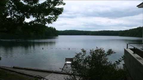 Walden   Large 540p Video Sharing