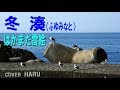 「冬湊」はかまだ雪絵 cover HARU 吉幾三・作詞作曲