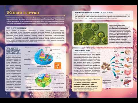 Большой 4D-атлас анатомии человека нет