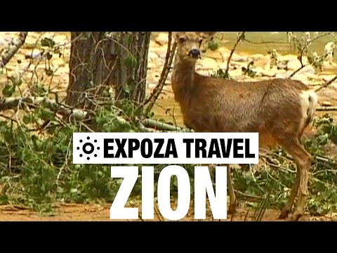 Zion (USA) Vacation Travel Video Guide