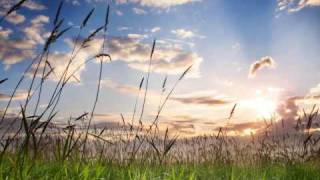Solarstone & Alucard - Late Summer Fields (Alucard Vocal Mix)
