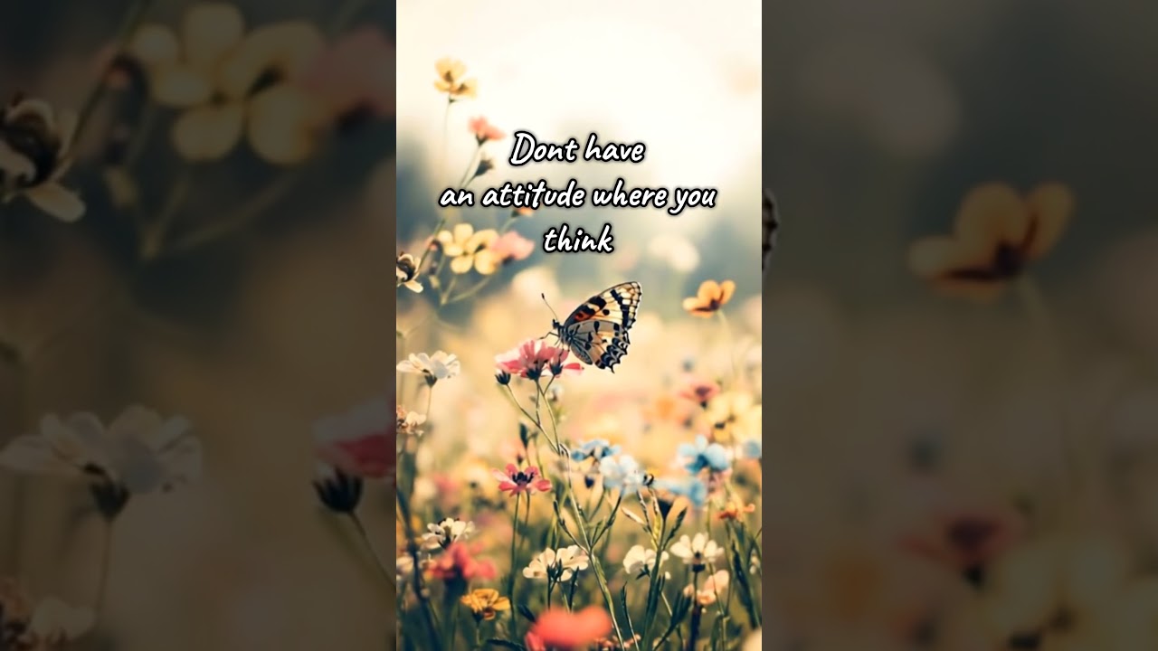 Allah will give you victory 