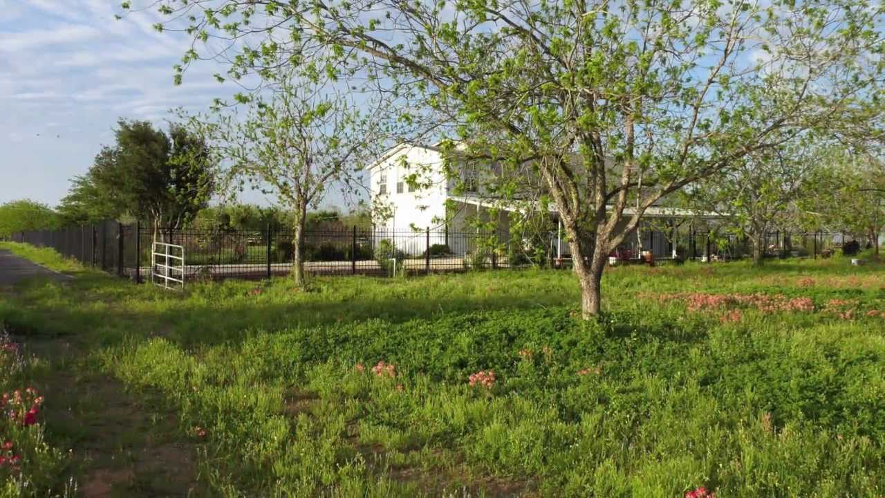 Lytle Tx South Texas Pecan Orchard in Lytle, TX - YouTube