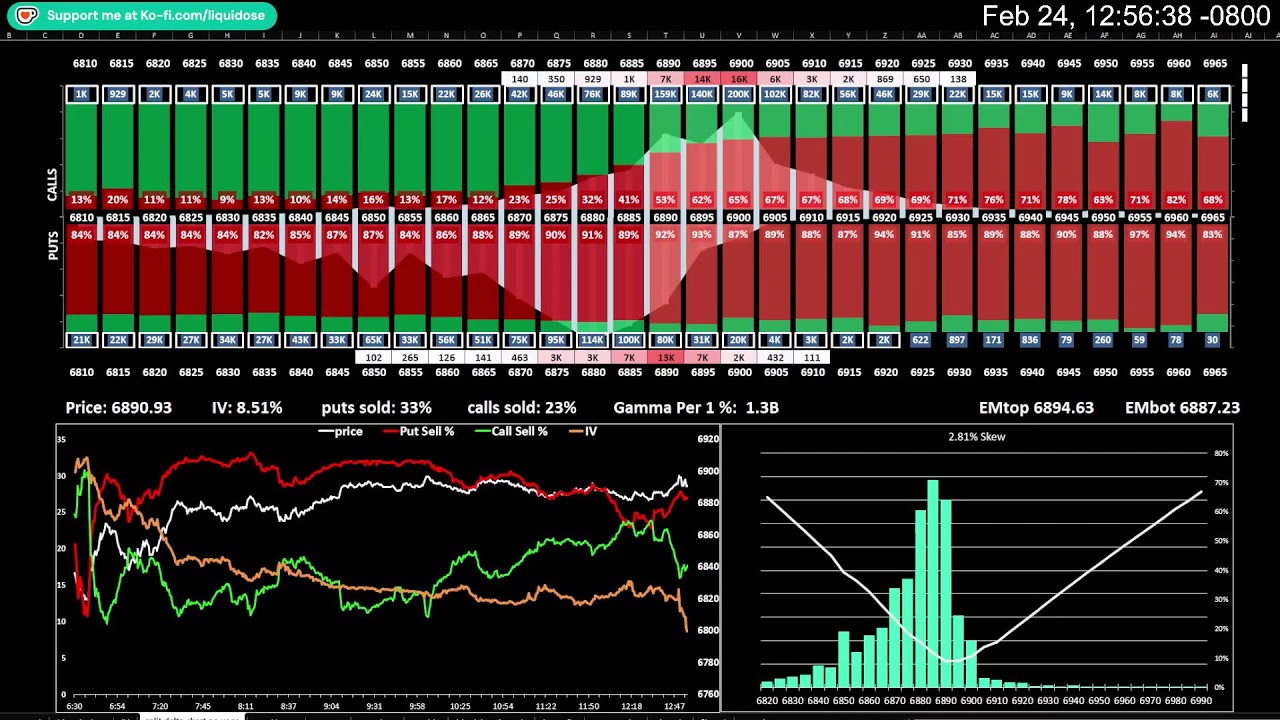 SPX Options Premium / Volume Profile - 2/24/26