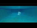 Despair | Short Film | UIL Young Filmmakers Contest 2020