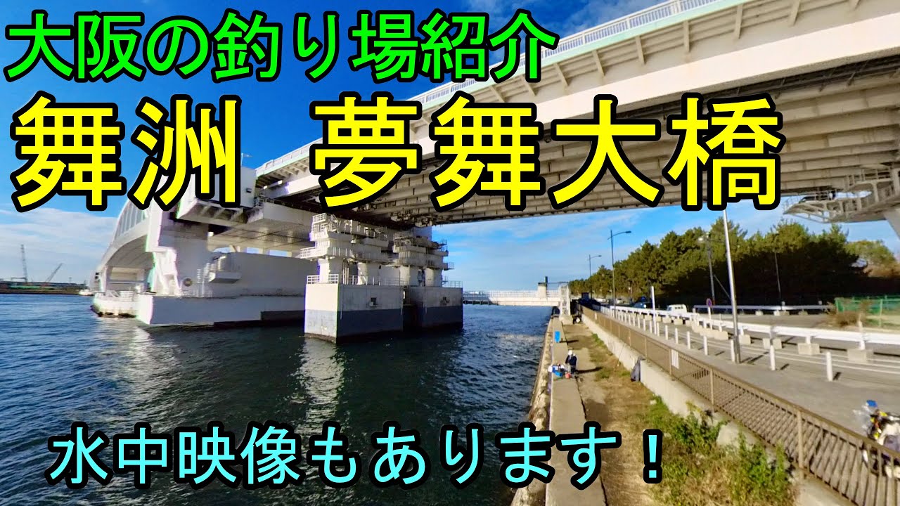 夢舞大橋下の釣り場の紹介。水中映像をもあり。大阪の夢洲で青物や黒鯛を狙おう！