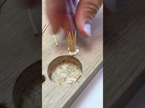 Do you have wiggly hinges? We have some tips!