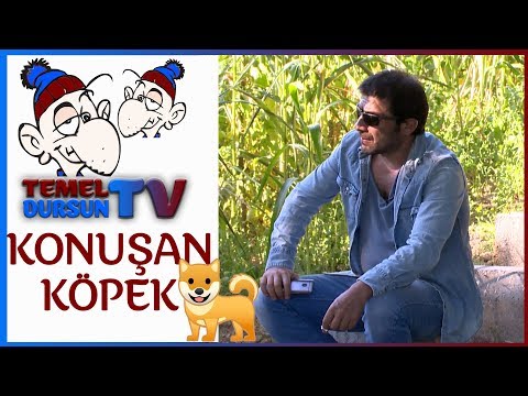 Konuşan Köpek - Temel Dursun TV