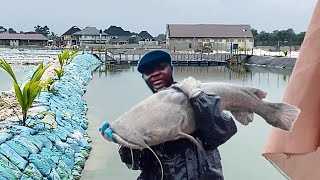 MAN WHO OWNS LARGEST FISHPONDS IN AFRICA DIDN'T KNOW HOW PROFITABLE FISH FARMING WAS WHEN HE STARTED