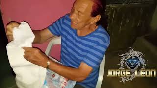 Esos pañales no eran | Gilberton 