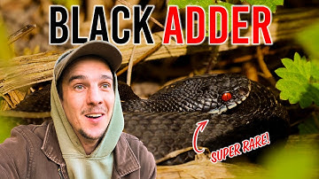 I found one of Britain