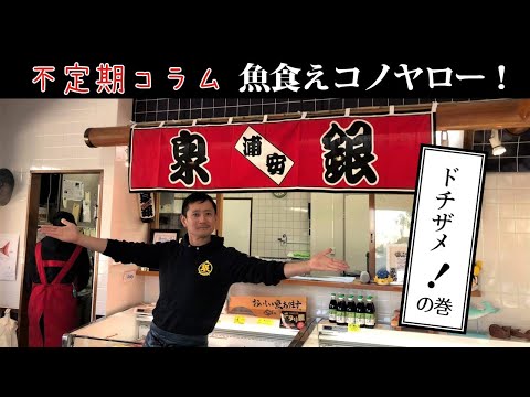 バンド 漁港 森田釣竿の店「泉銀」からの不定期コラム 「魚食えコノヤロー！」・ドチザメの巻!!