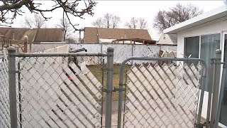 Dogs That Killed Boy Were Menace To Nj Community, Neighbors Say