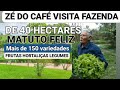 ZÉ DO CAFÉ VISITA FAZENDA COM 40 MIL METROS QUADRADOS DE PLANTAÇÃO MAIS DE 150 MIL VARIEDADES 733