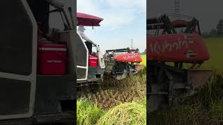 Vận hành máy gặt Kubota Model DC-70