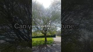 You DEFINITELY know this tune… but what is it? 🎼