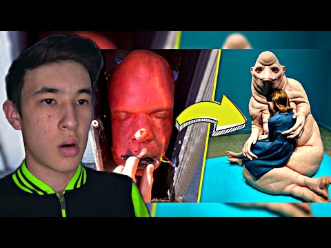Вещи, Которые Введут Вас в Полное Замешательство!😱 #shorts #музей #дельфин