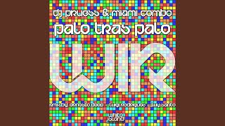 Palo Tras Palo (Funky Mix)