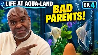 Angelfish Drama & an $8,000 Fish Order | Life at Aqua-Land Ep. 4