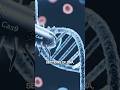CRISPR Explained: How We’re Editing Life Itself. #longevity #antiaging #aging #longevitytips