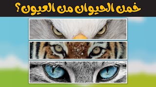 لنتعلم عن الحيوانات | خمن الحيوان من عيونه 🦍​🐂​🐅​