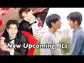 New Upcoming Thai BL Series