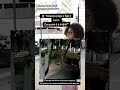 De quem é a culpa?