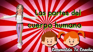 Partes del cuerpo humano - Esmeralda Te Enseña