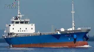 しんせい 一般貨物船 三星海運 M/V SHINSEI General cargo ship 大阪港 2017-MAY
