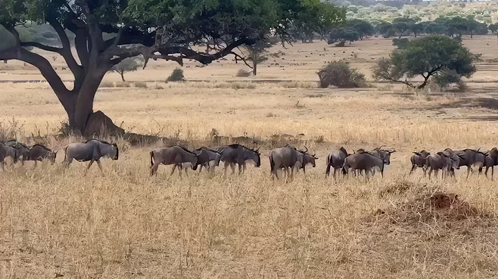 Things are not always as they appear