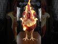 Roster 🐓🐓🐓 #burn #fire #fun