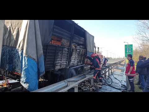 TEM otoyolunda Kamyon Yangını