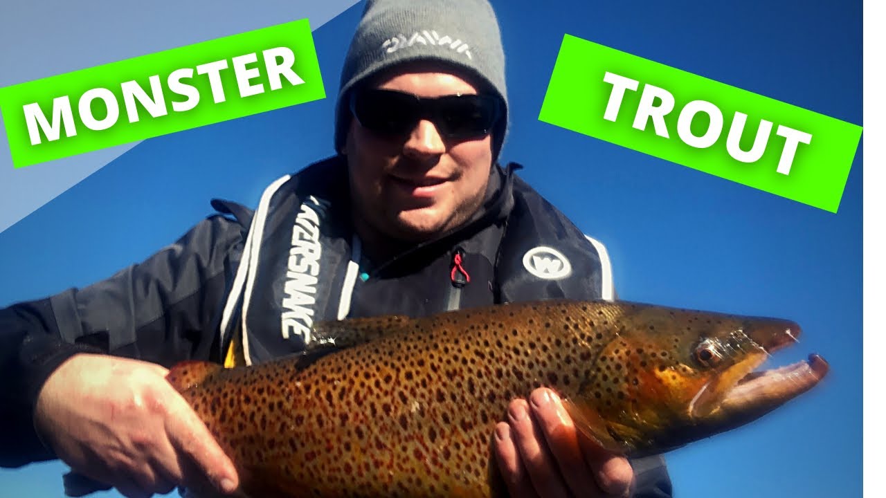 MONSTER!! TROUT !! fishing Tullaroop res Victoria YouTube