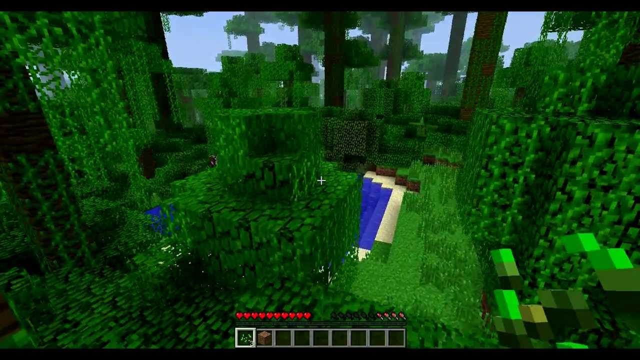 Липкие джунгли - YouTube