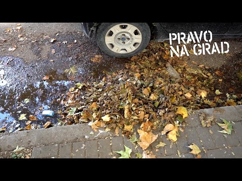 Video: Kako Ugotoviti Nebesno Znamenje Po Datumu Rojstva