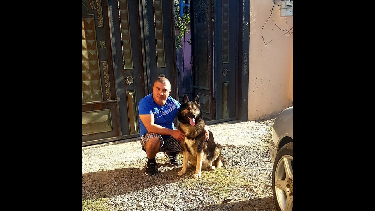 Axir ki azarimizi oldurduk buyurun baxun