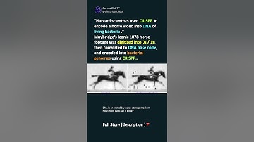 Scientists encoded a video into DNA