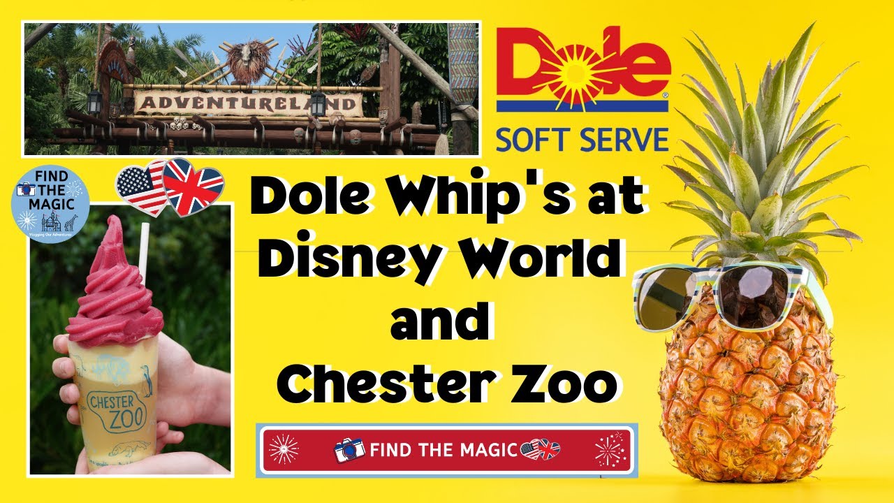 Dole Whip Enjoying one of our favourite snacks at Disney World and