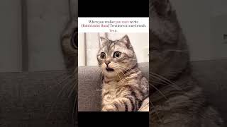 Try saying Rabbi zidni ‘ilma 10 times in 1 breath..bet you can't😂 #IslamicShorts #viral #CuteCatReel