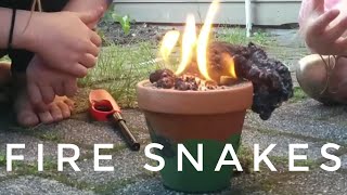 Fire Snakes