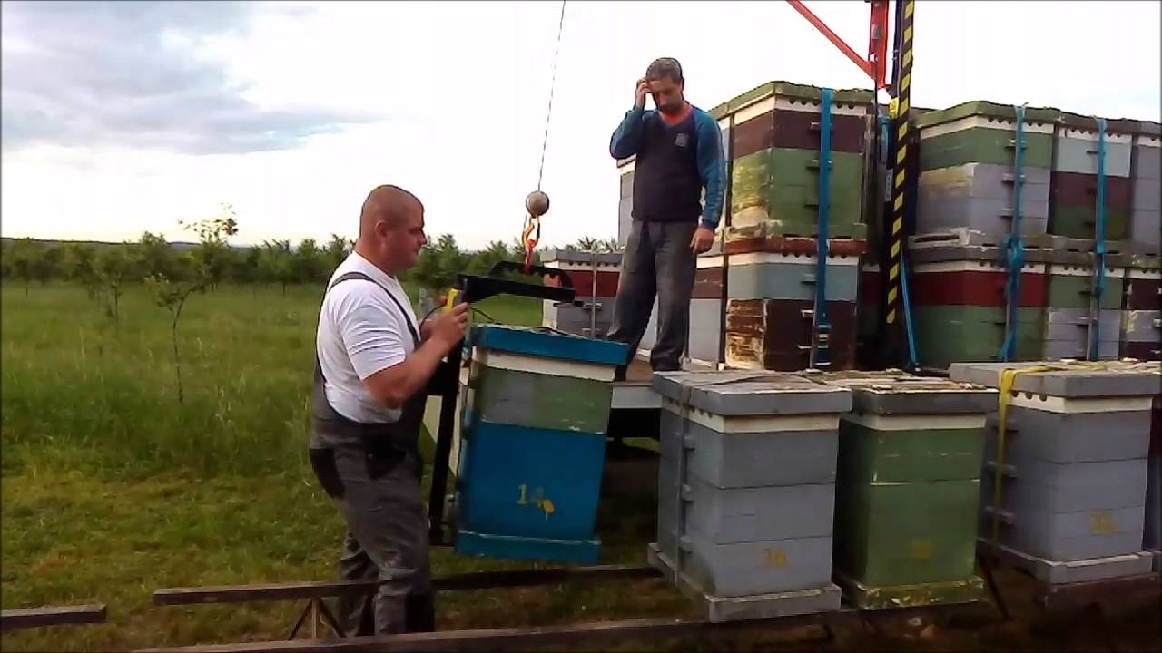 Egyedi gyártású Szegélydaru villás kaptáremelővel