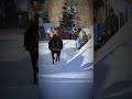 Equine Skijoring Music Video 🐎❄️🎸⚡️🎵🎶//#horse #winter #sports #equestrian #shorts #fyp